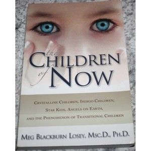 The Children Of Now by Meg Blackburn Losey paperback book  Indigo Children Angel